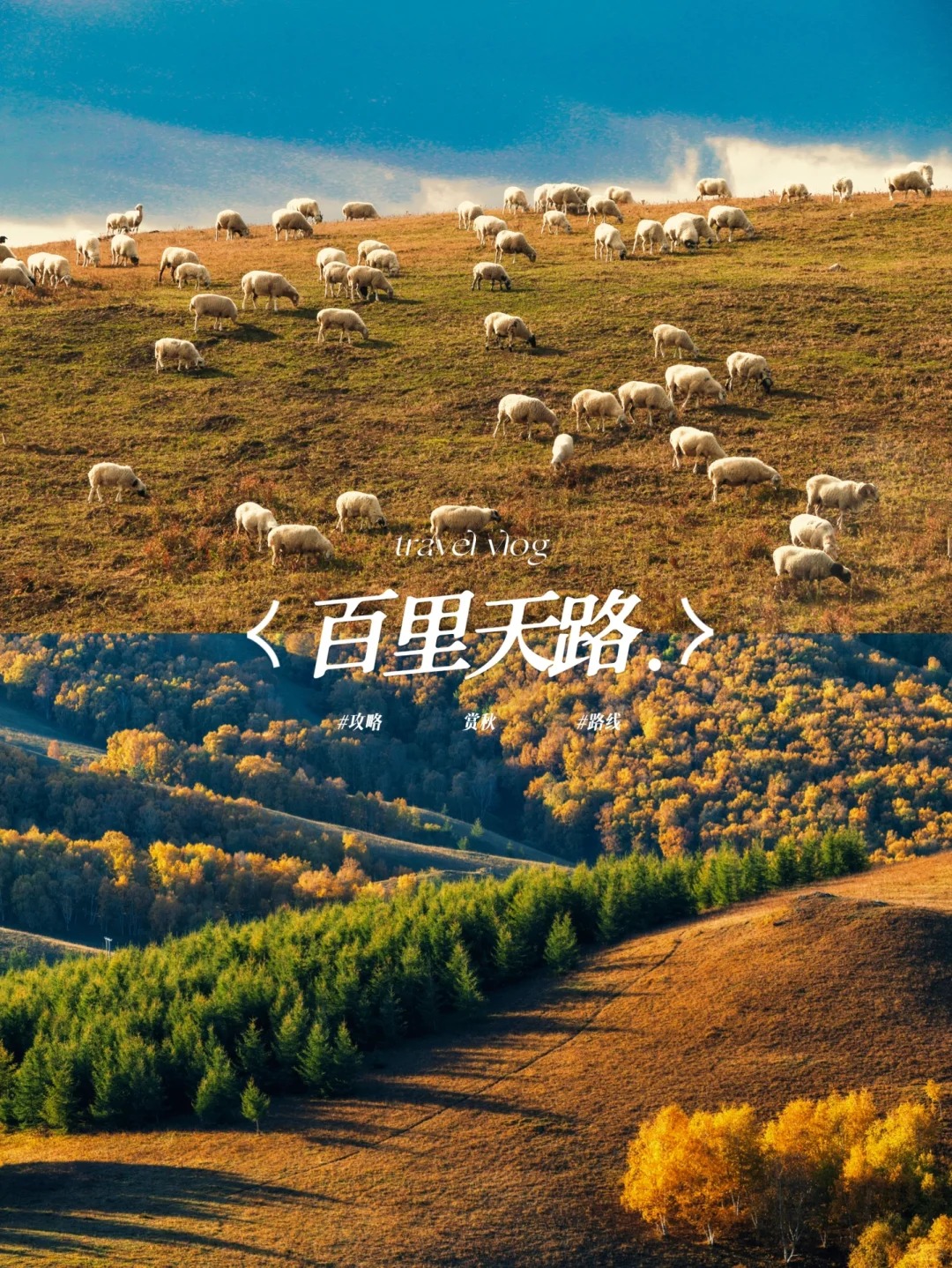 我在这里找到了秋天里的童话世界｜百里天路_1_Annie_北京-草原-周末游-来自52tours 我爱旅游网